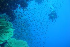 2009 Red Sea 002